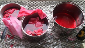 Images of background work for HND in Fibre Art assignment