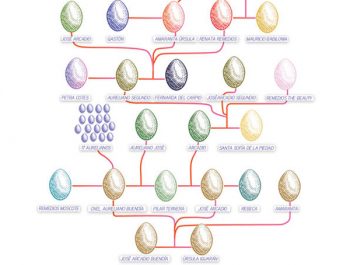 Egg Family Tree Graphic