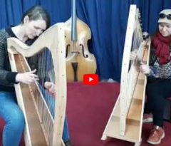 harps playing for International womens day