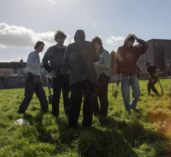 Tree Planting